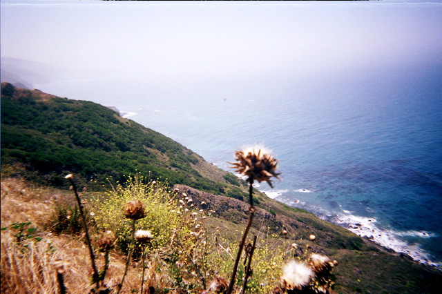 big_sur10