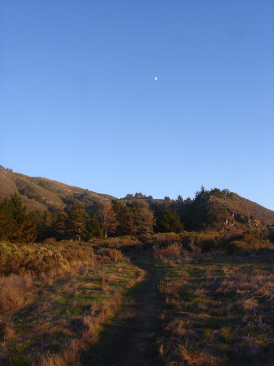 DSC02642.JPG