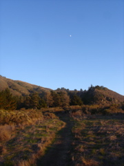 DSC02642.JPG