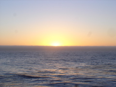 DSC02654.JPG
