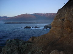 DSC02661.JPG