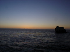 DSC02663.JPG