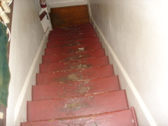 DSC01144.JPG