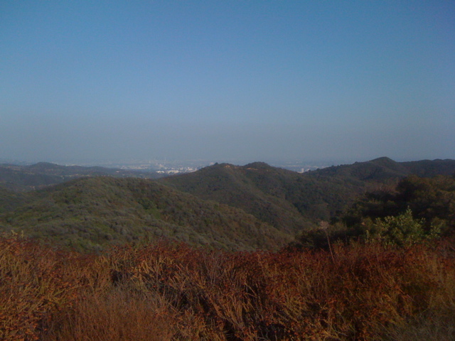 IMG_1786.JPG