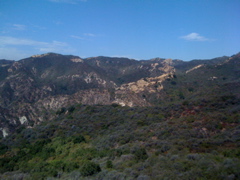 IMG_1808.JPG