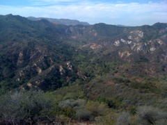 IMG_1809.JPG