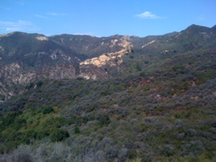 IMG_1811.JPG