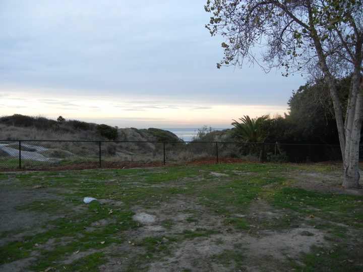 DSCN0534