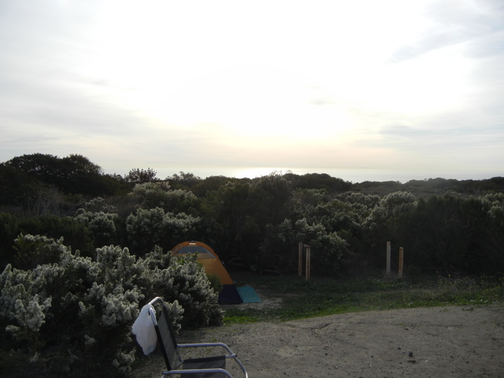 DSCN0522
