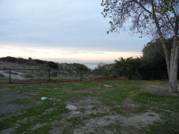 DSCN0534