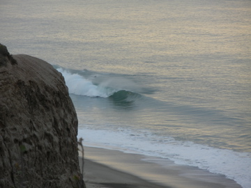 DSCN0550