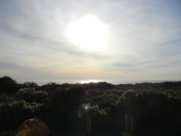 DSCN0524