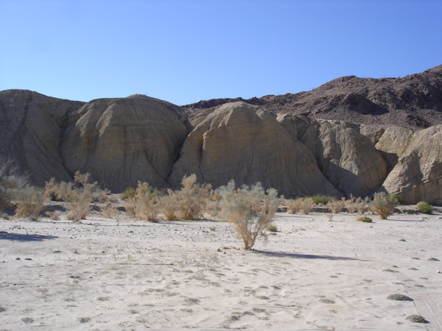 DSC03560.JPG