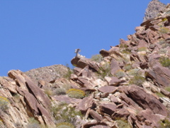 DSC03533.JPG